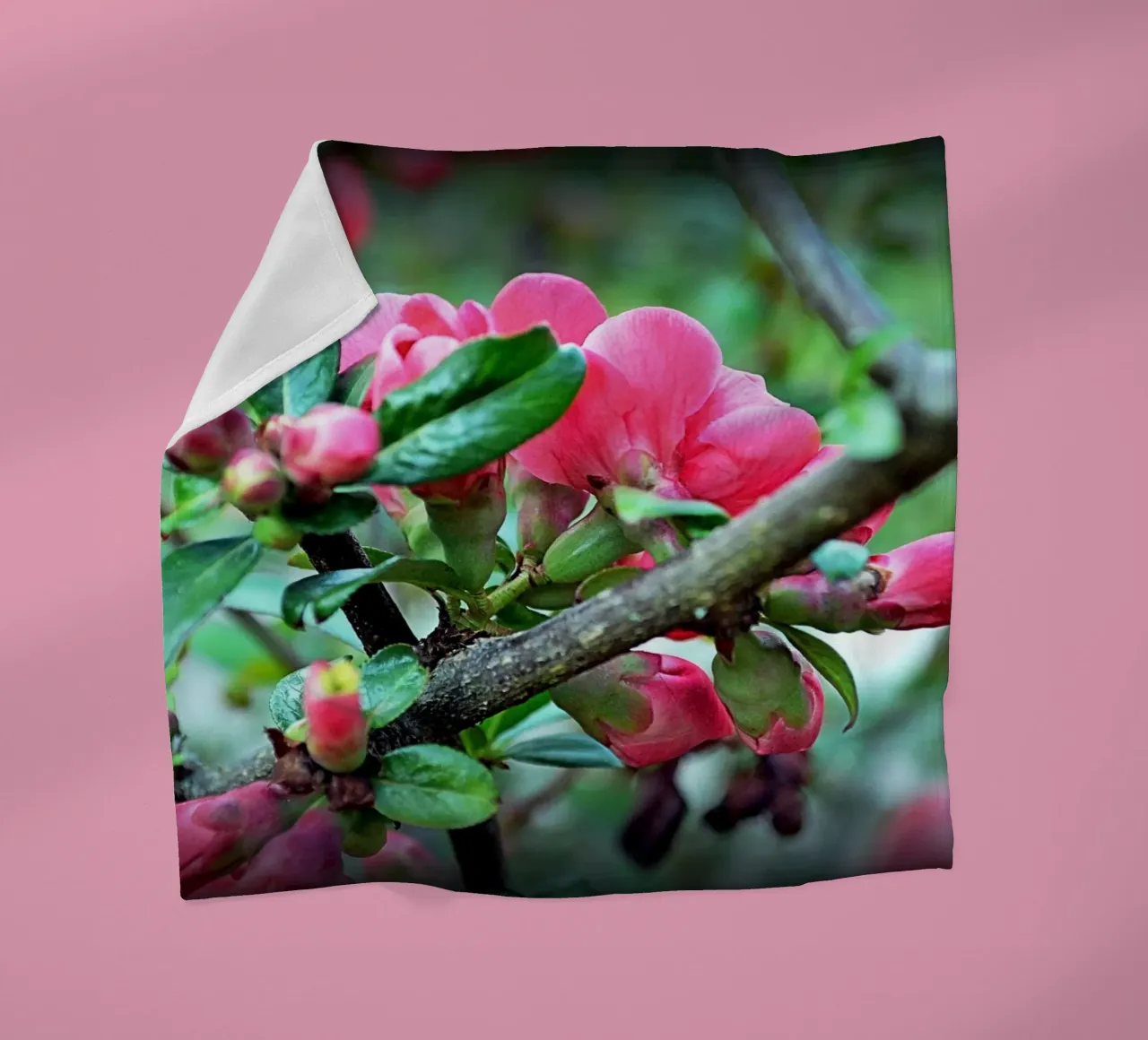 FAA10 Fleecedecke von Thierry vobmann photography