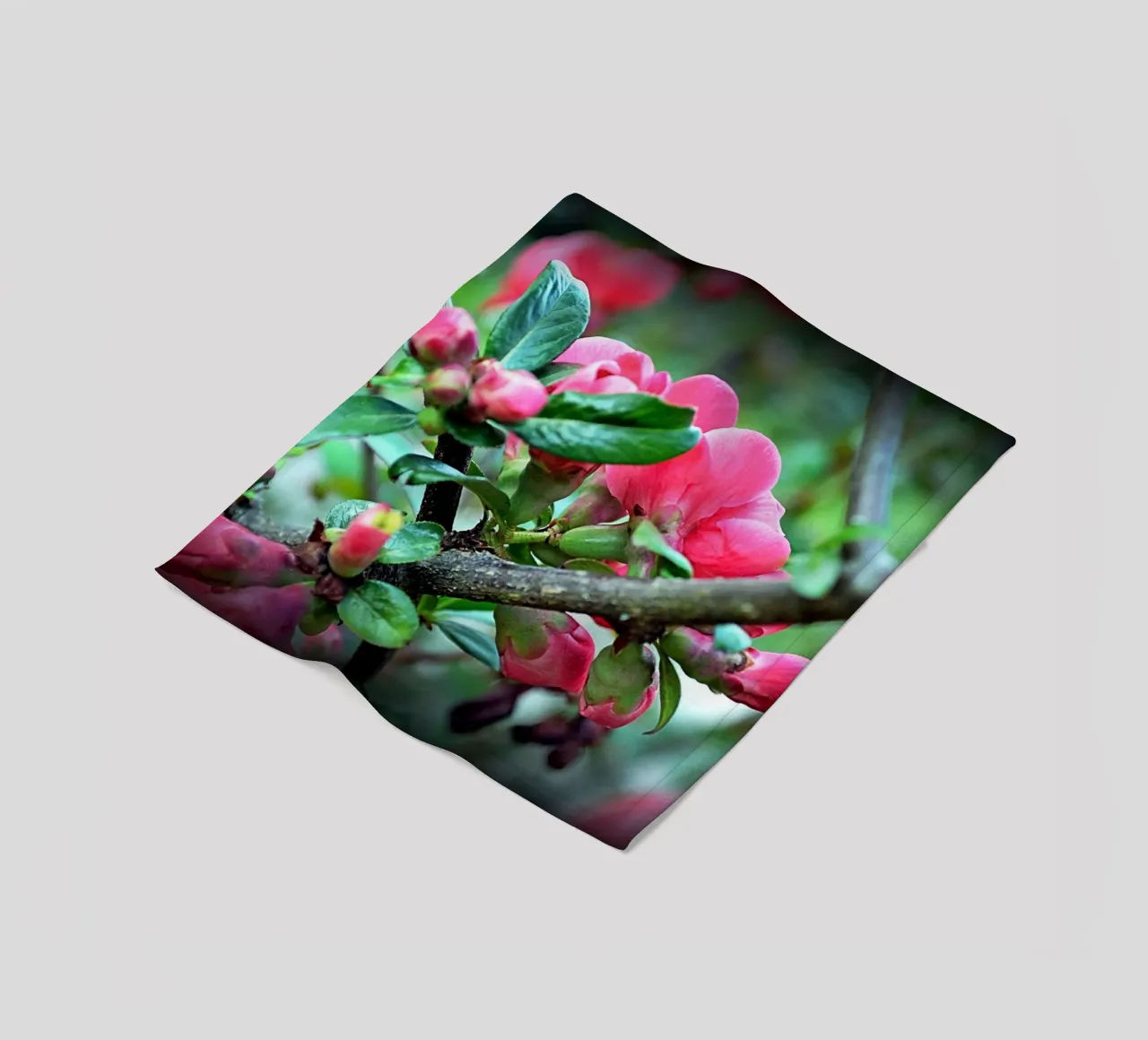 FAA10 Fleecedecke von Thierry vobmann photography