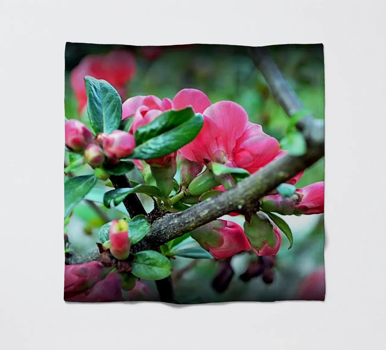 FAA10 Fleecedecke von Thierry vobmann photography