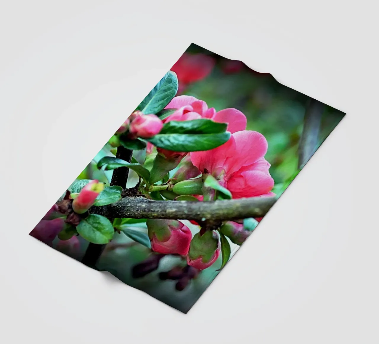 FAA10 Fleecedecke von Thierry vobmann photography