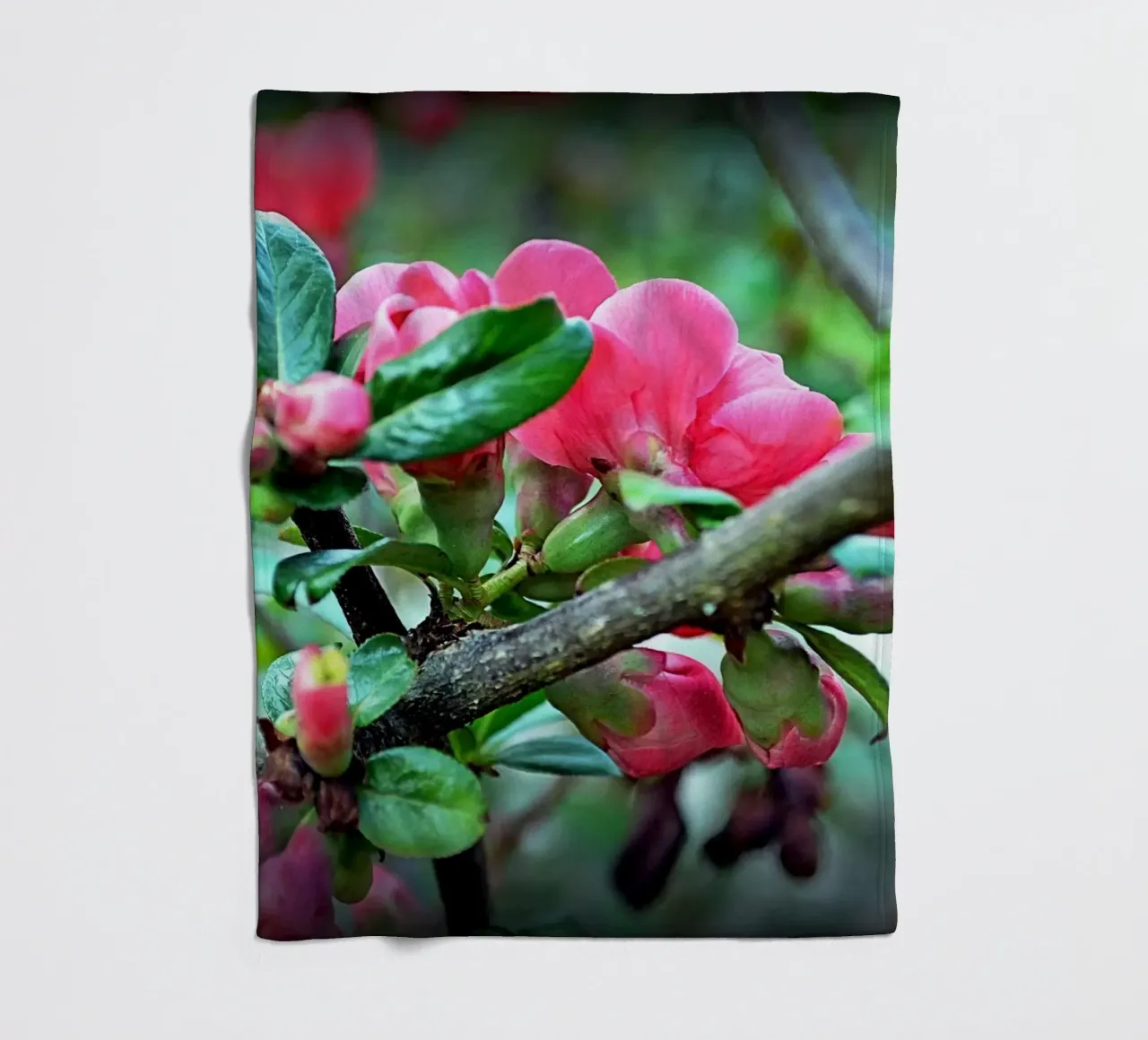 FAA10 Fleecedecke von Thierry vobmann photography