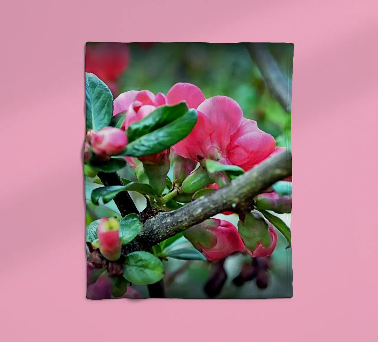 FAA10 Fleecedecke von Thierry vobmann photography