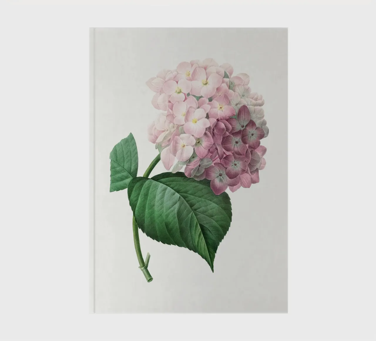 Hydrangea notebook by Botanical