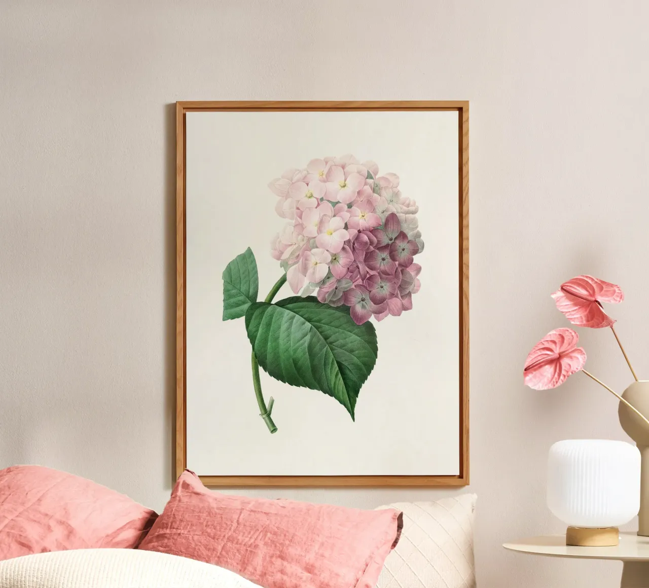 Hydrangea forex plate by Botanical