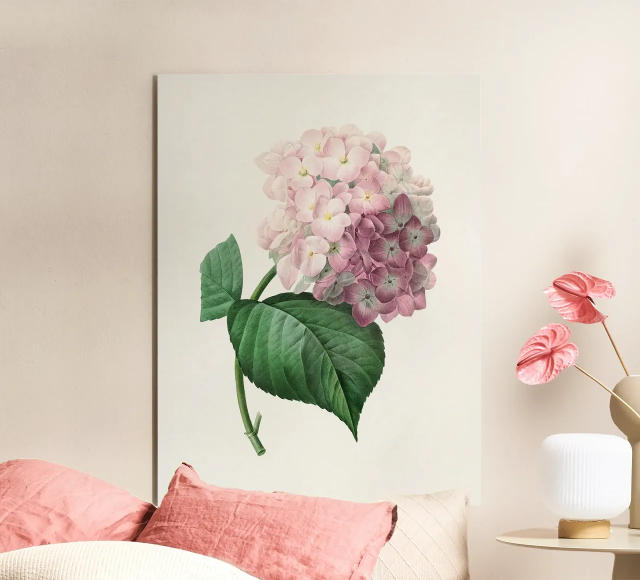 Hydrangea forex plate by Botanical