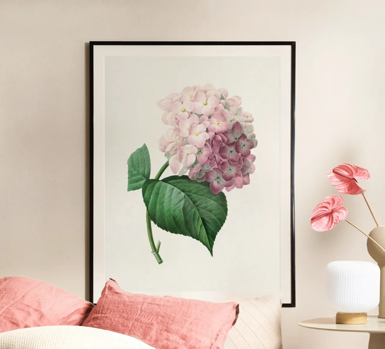 Hydrangea poster by Botanical