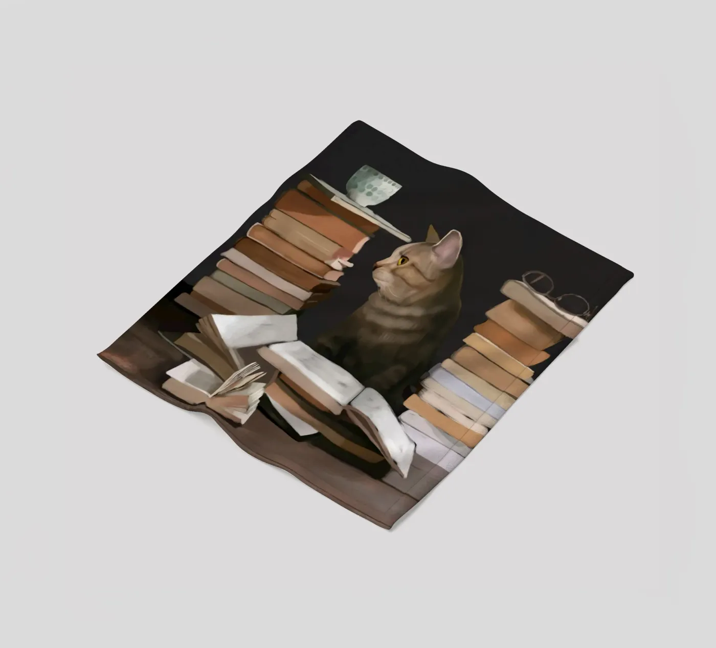 Why We Read Fleecedecke von Verse