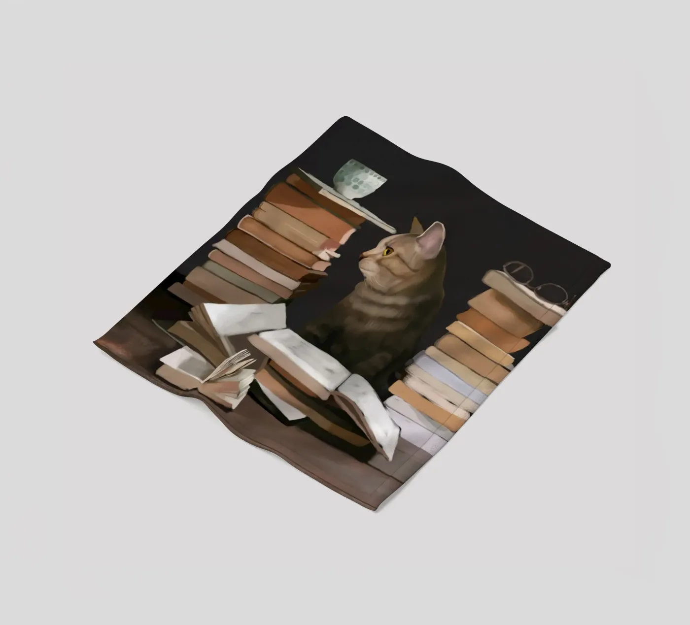 Why We Read Fleecedecke von Verse