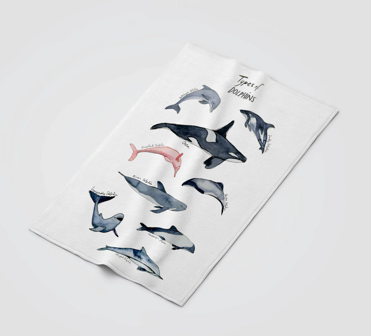 Tipi disegnati a mano di delfini in acquerello: design giocoso coperta in pile da Studio Patruschka