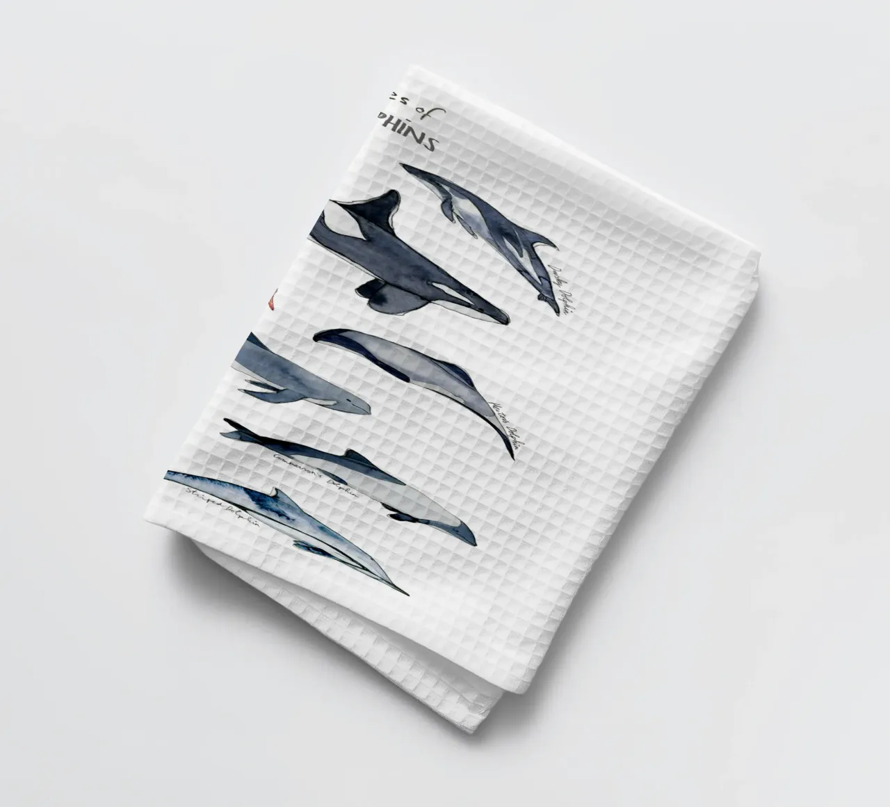 Tipi disegnati a mano di delfini in acquerello: design giocoso canovaccio da cucina da Studio Patruschka