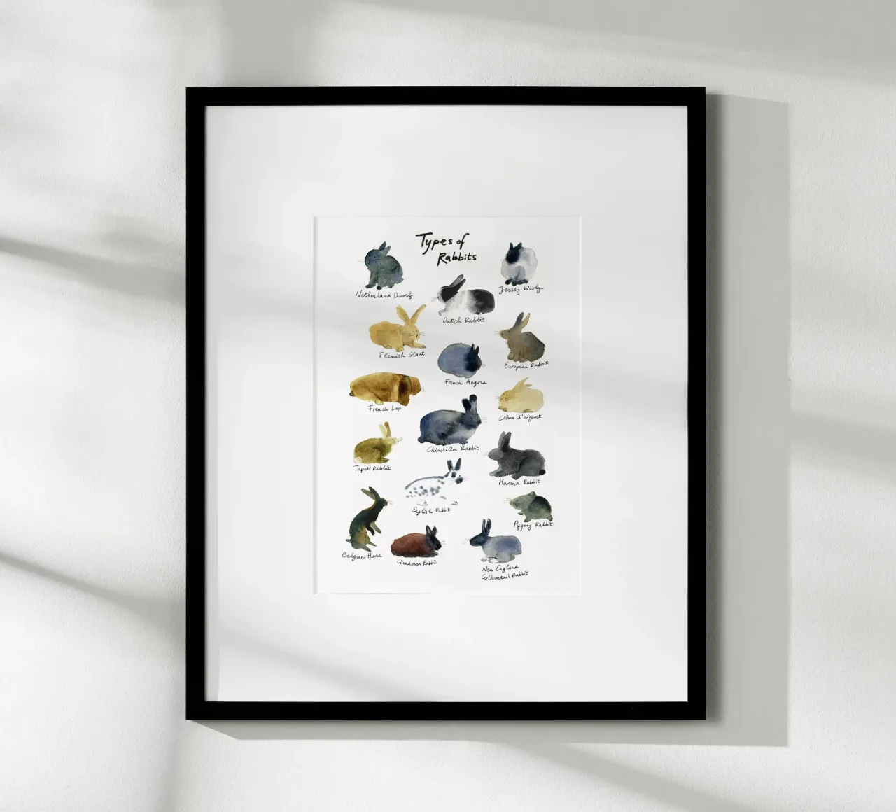 Razze di conigli disegnate a mano in acquerello: coniglietto giocoso e carino poster con telaio in alluminio da Studio Patruschka