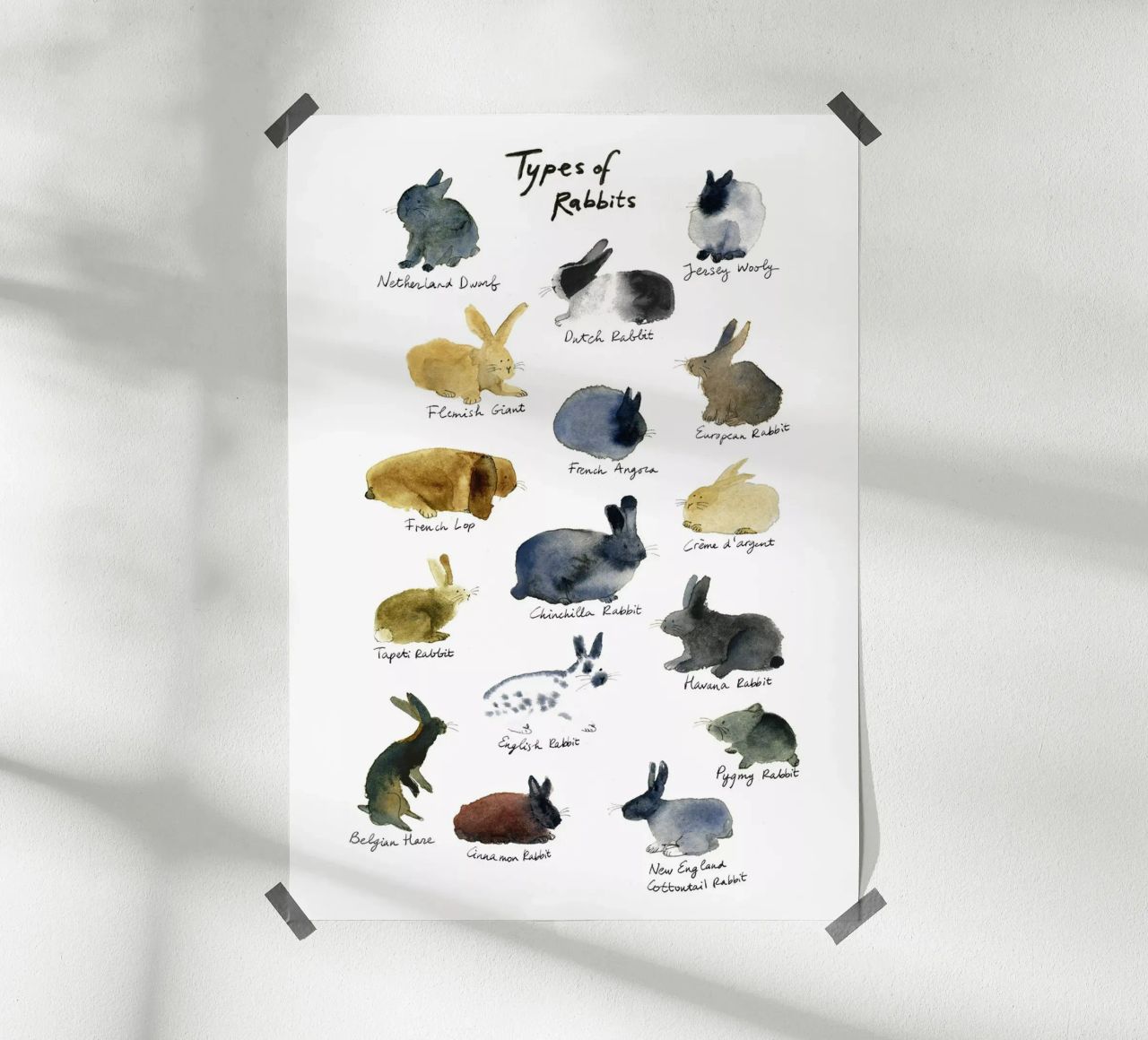 Handgezeichnete Kaninchenrassen in Aquarell: Verspielte und niedliche Kaninchen Poster von Studio Patruschka