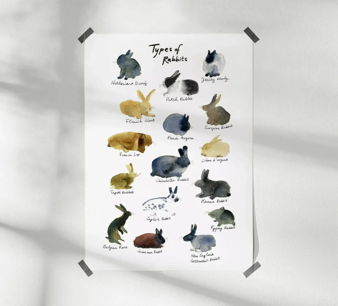 Razze di conigli disegnate a mano in acquerello: coniglietto giocoso e carino poster con telaio in alluminio da Studio Patruschka