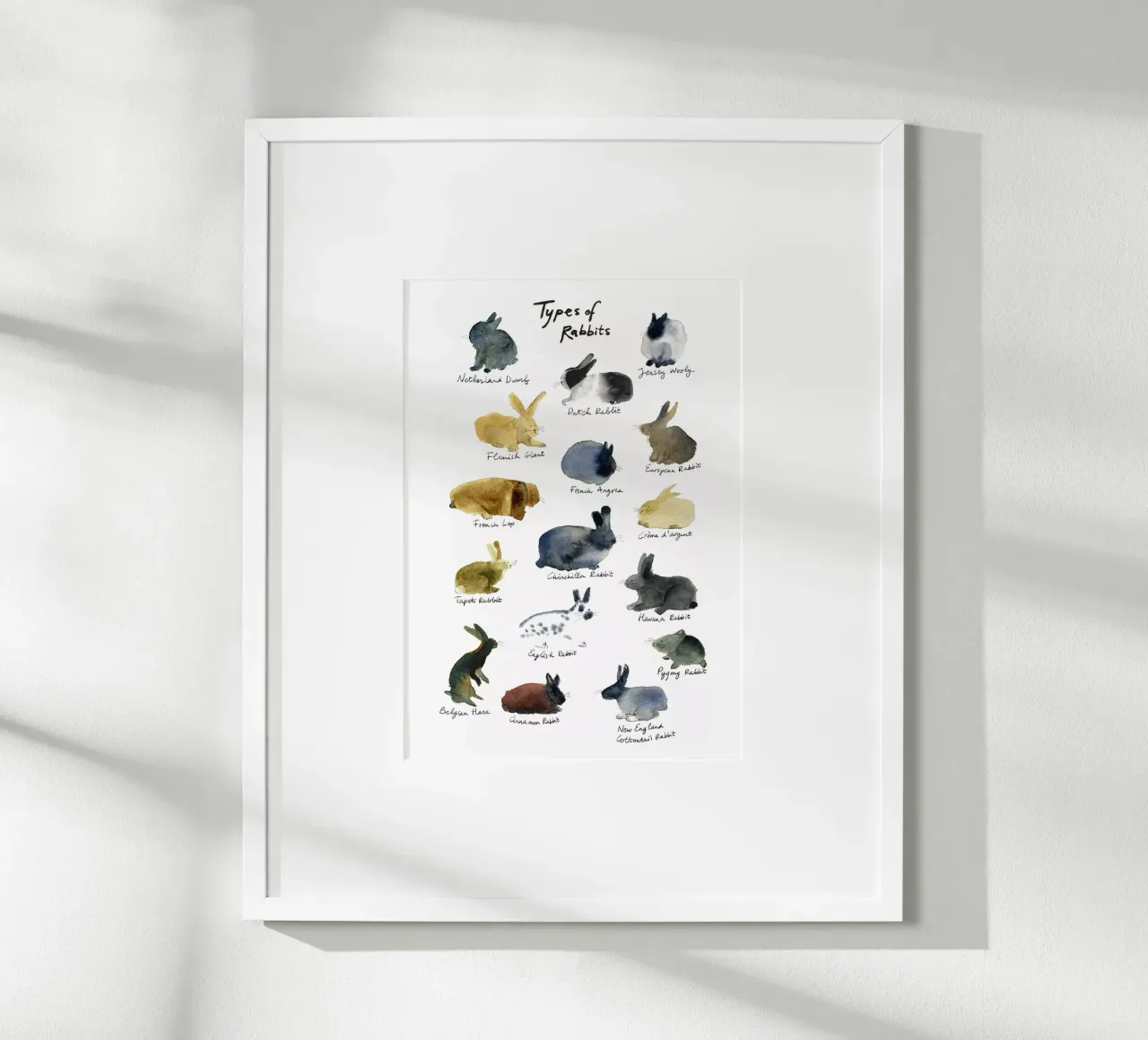 Razze di conigli disegnate a mano in acquerello: coniglietto giocoso e carino poster con telaio in alluminio da Studio Patruschka