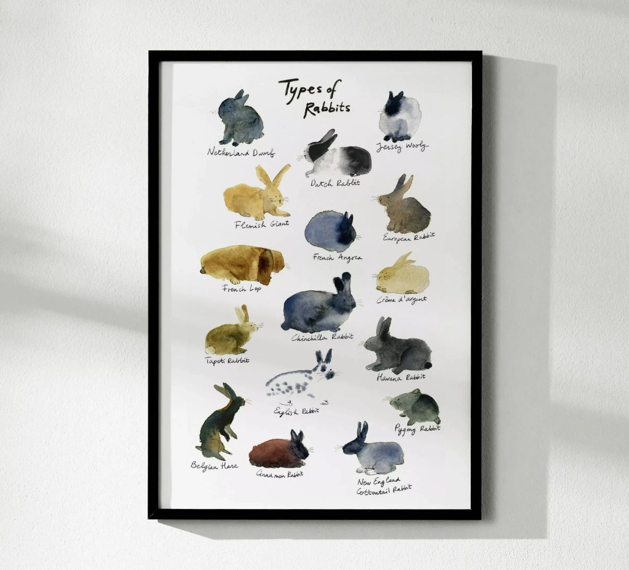 Handgezeichnete Kaninchenrassen in Aquarell: Verspielte und niedliche Kaninchen Poster von Studio Patruschka