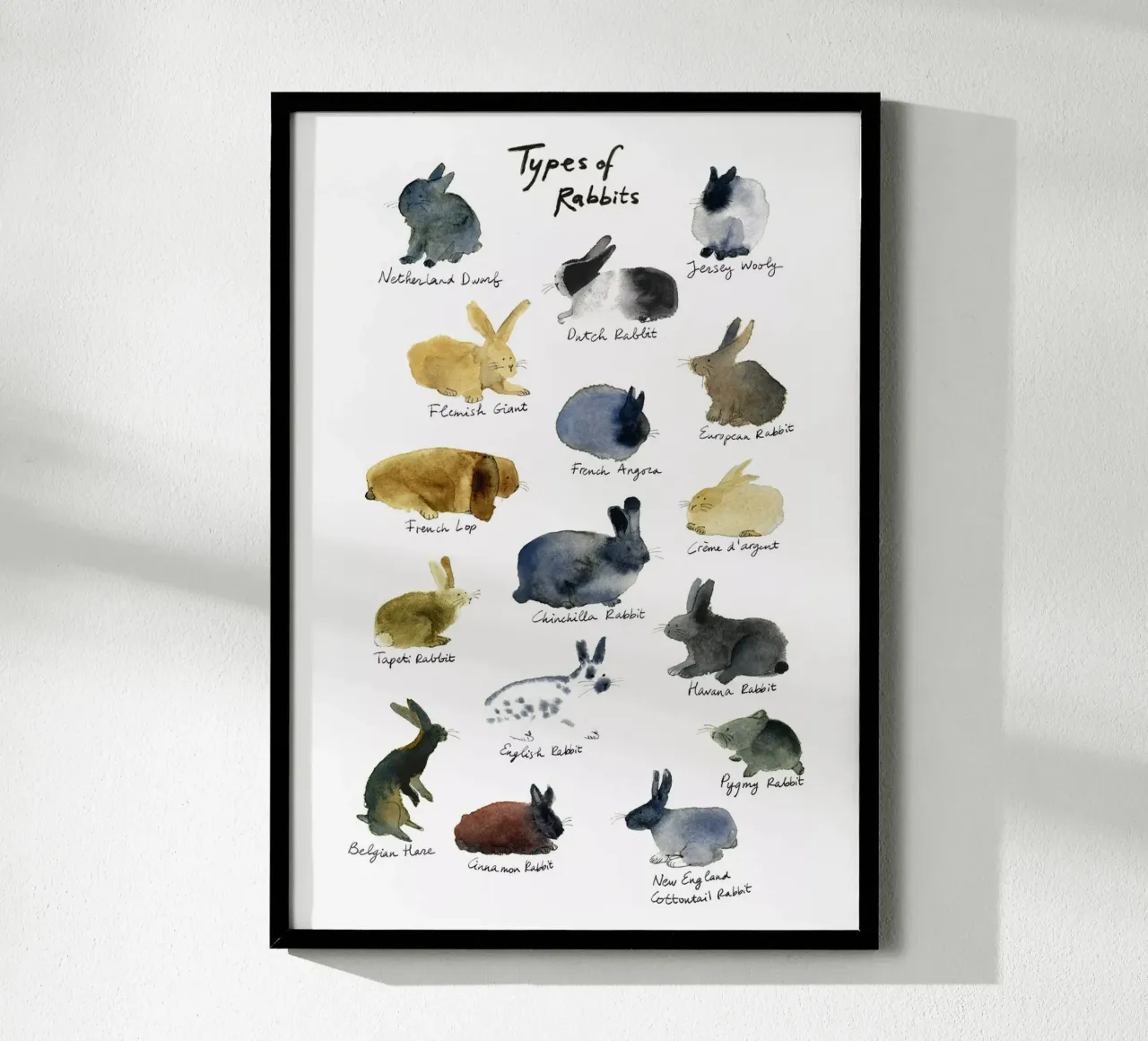 Razze di conigli disegnate a mano in acquerello: coniglietto giocoso e carino poster con telaio in alluminio da Studio Patruschka