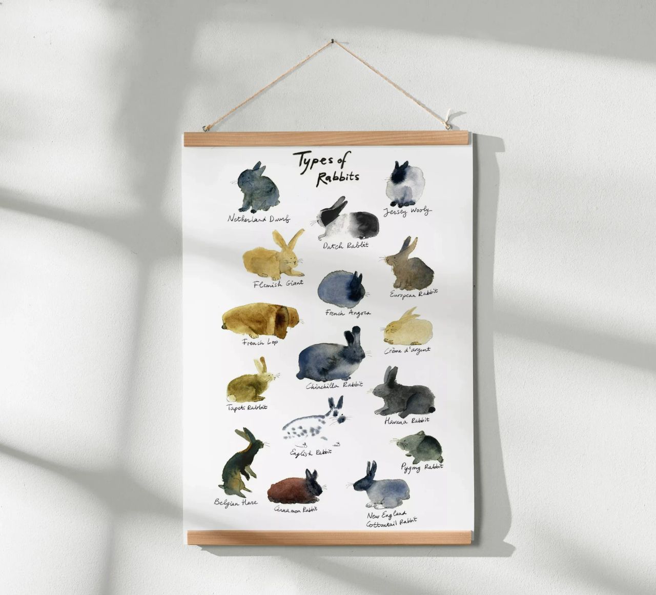 Handgezeichnete Kaninchenrassen in Aquarell: Verspielte und niedliche Kaninchen Poster von Studio Patruschka