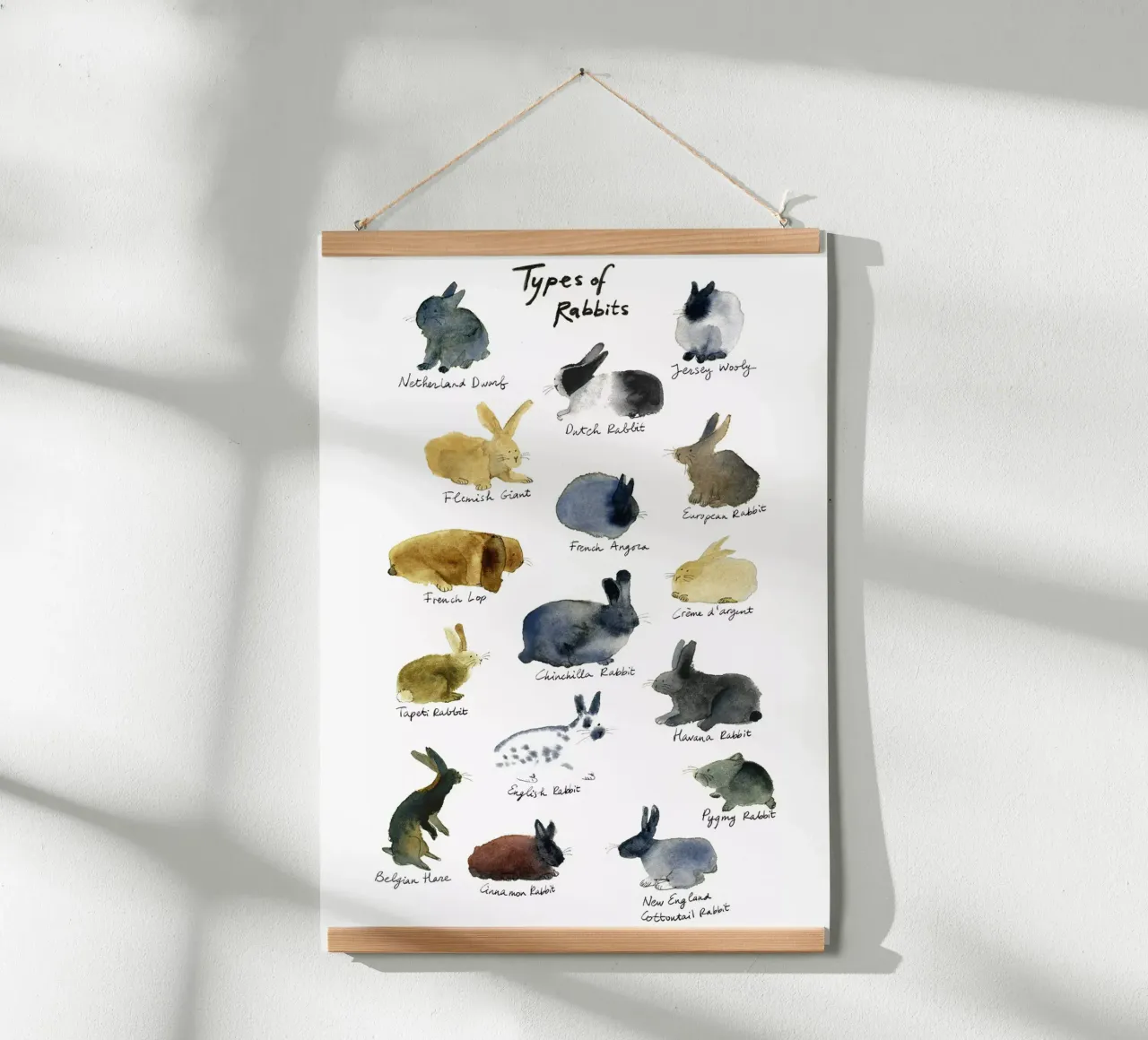 Razze di conigli disegnate a mano in acquerello: coniglietto giocoso e carino poster con telaio in alluminio da Studio Patruschka