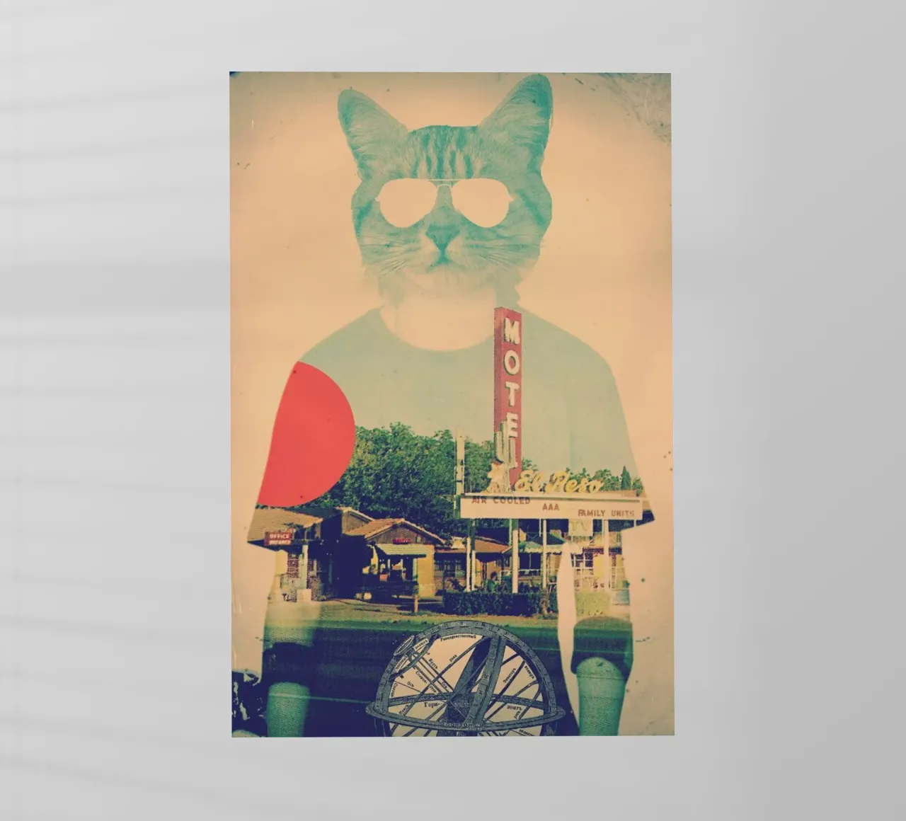 Cool Cat pellicola backlit da Ali Gulec