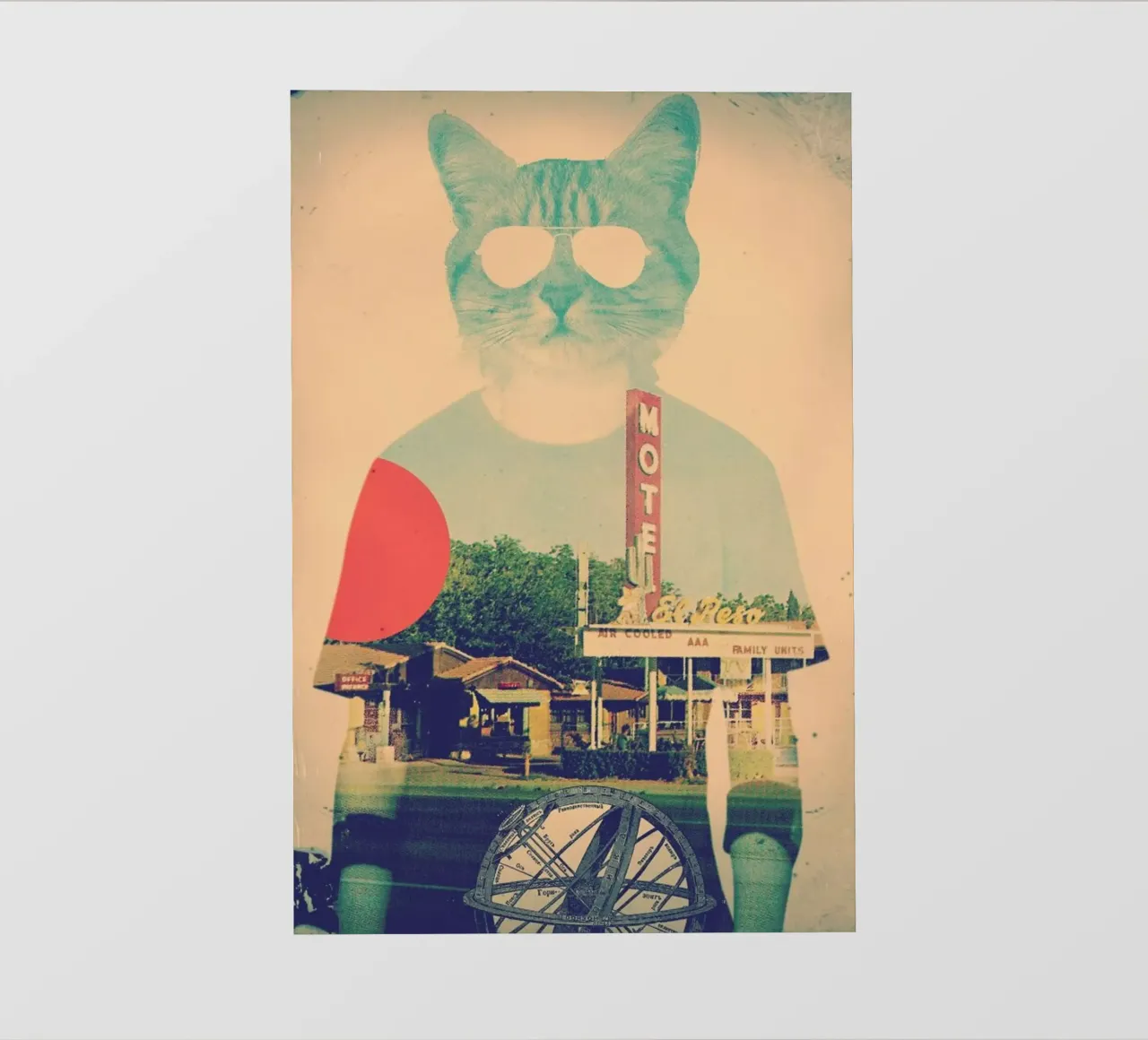 Cool Cat pellicola backlit da Ali Gulec