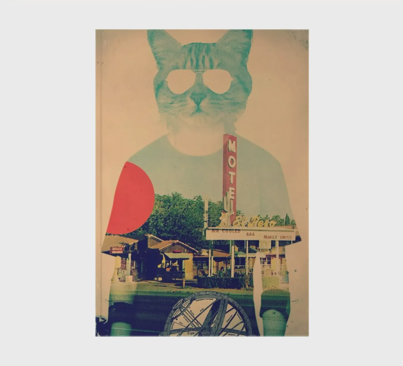 Cool Cat notebook by Ali Gulec