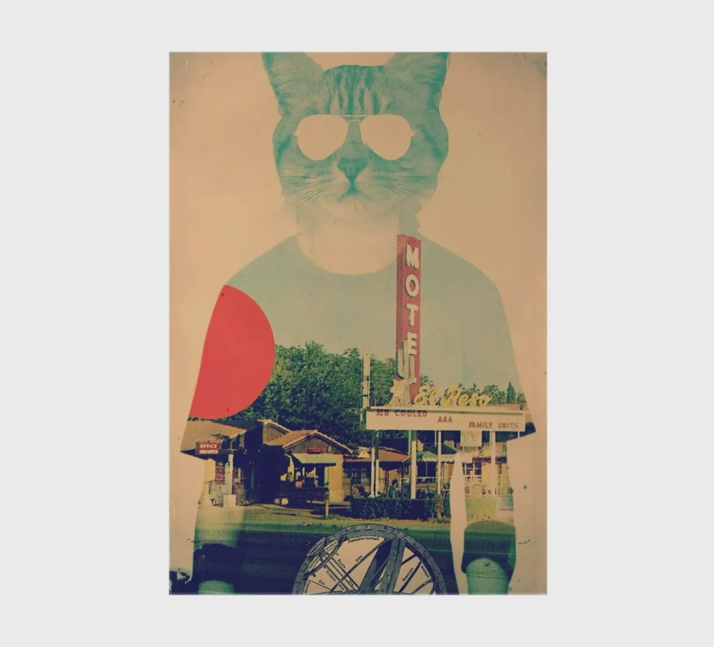 Cool Cat notebook by Ali Gulec