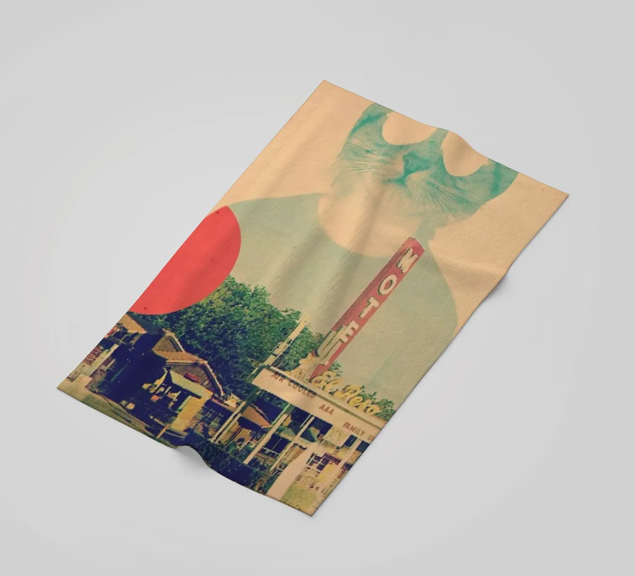 Cool Cat telo mare da Ali Gulec