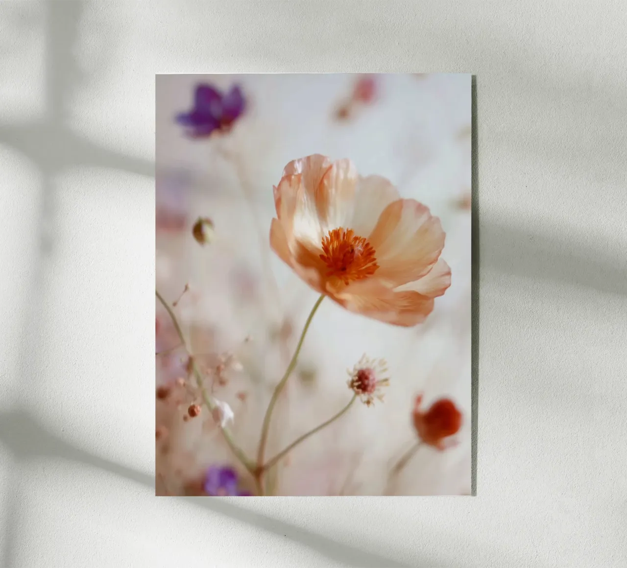 Fard Wildflower plexiglass da story engage