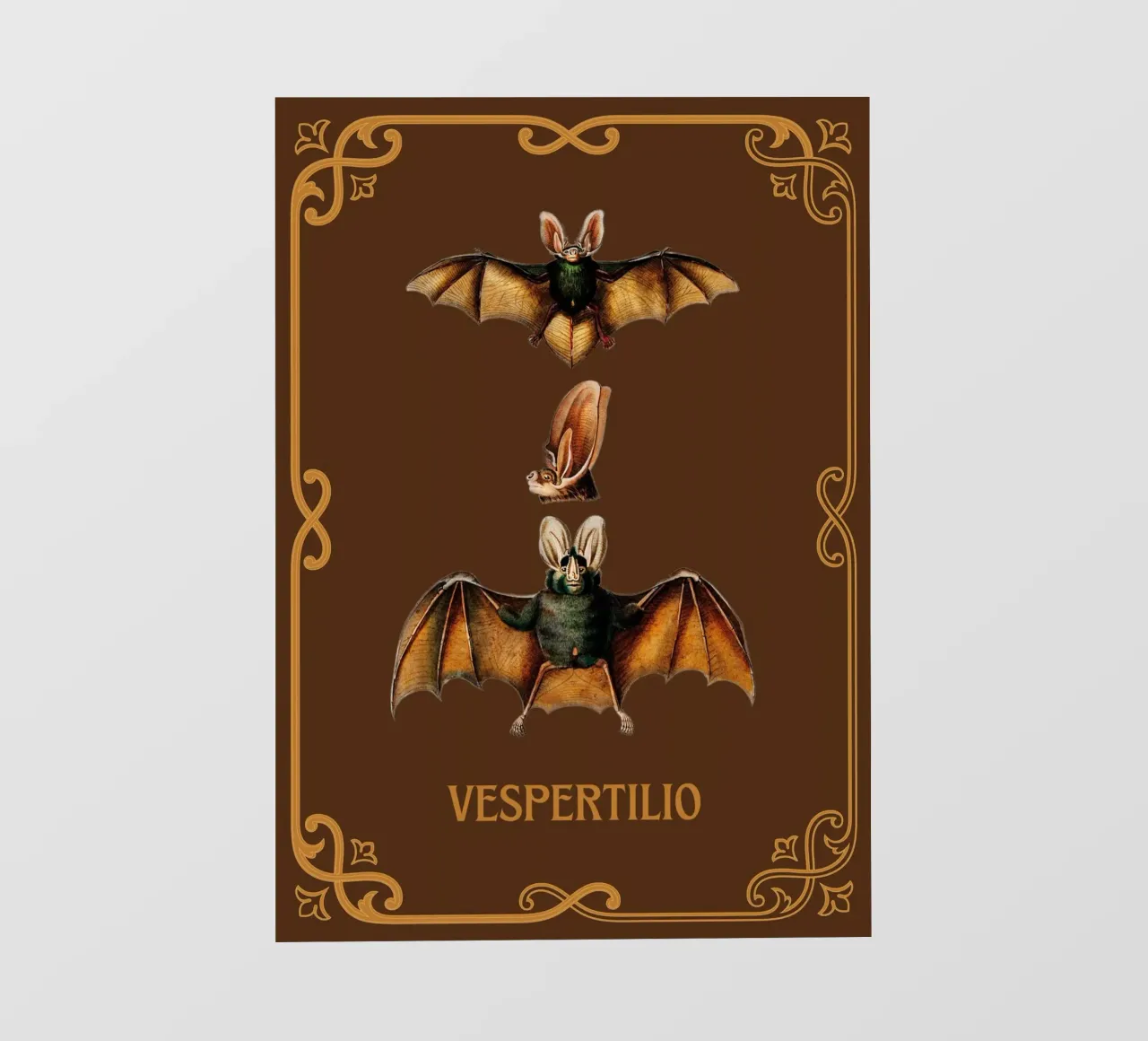 Pipistrello pellicola backlit da Luna & Noctua