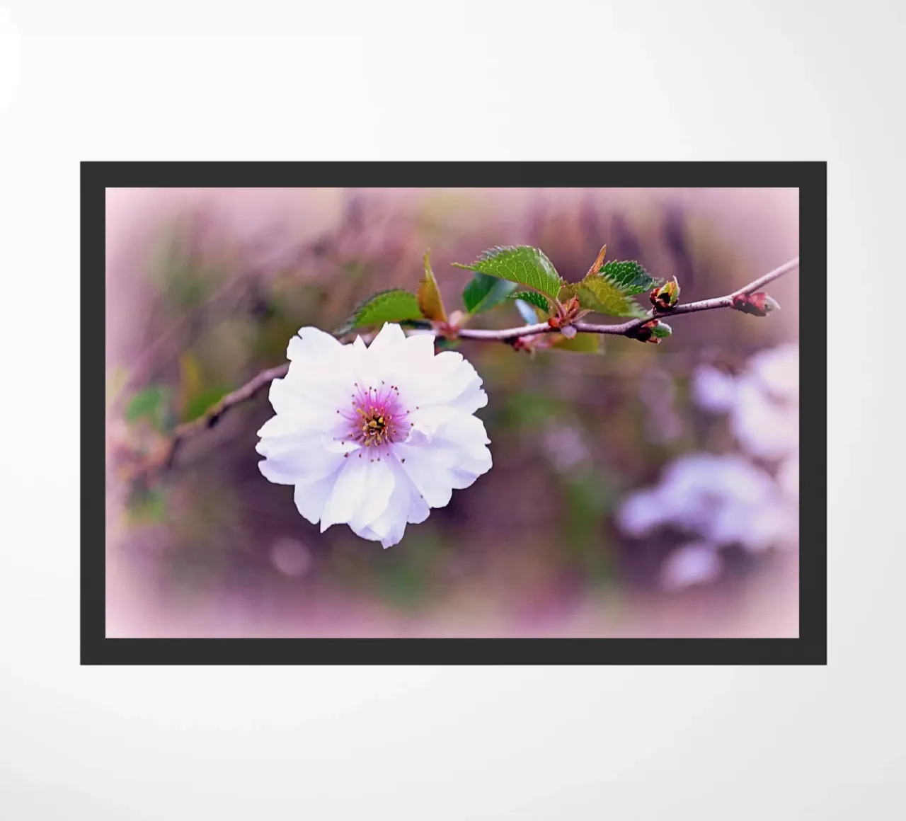 FAA11 deurmat van Thierry vobmann photography