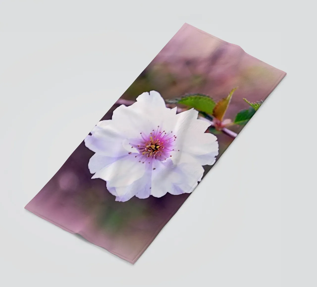 FAA11 telo mare da Thierry vobmann photography