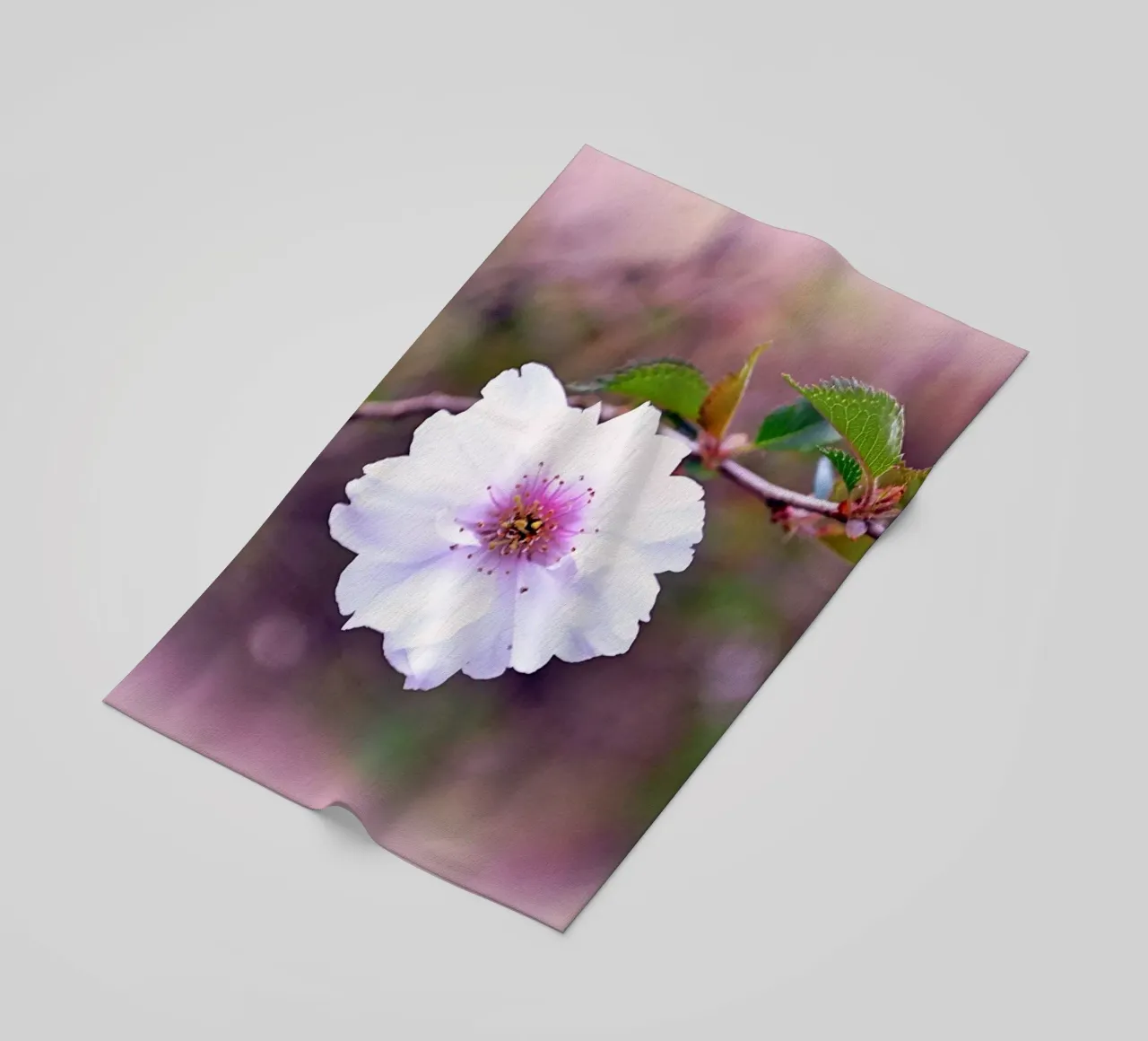 FAA11 telo mare da Thierry vobmann photography