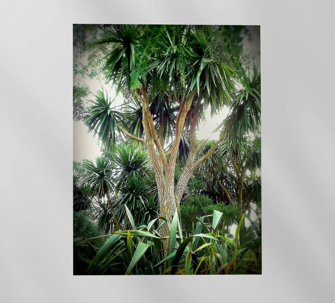 FAA14 pellicola backlit da Thierry vobmann photography