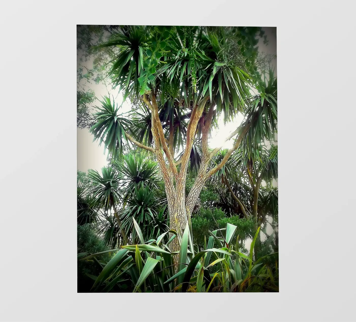 FAA14 pellicola backlit da Thierry vobmann photography