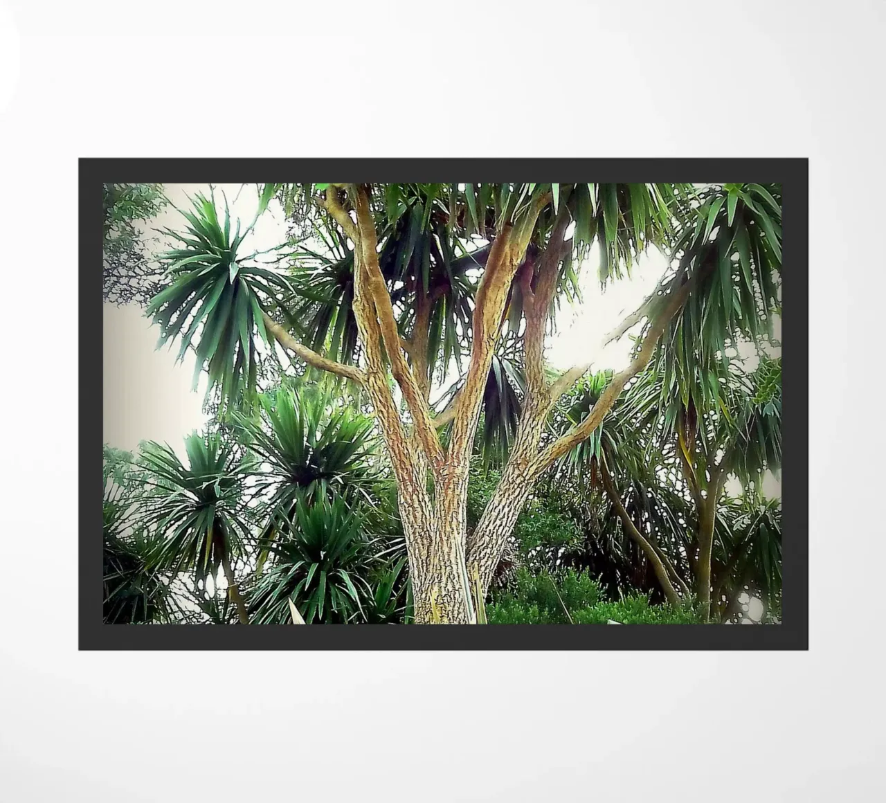 FAA14 zerbino da Thierry vobmann photography