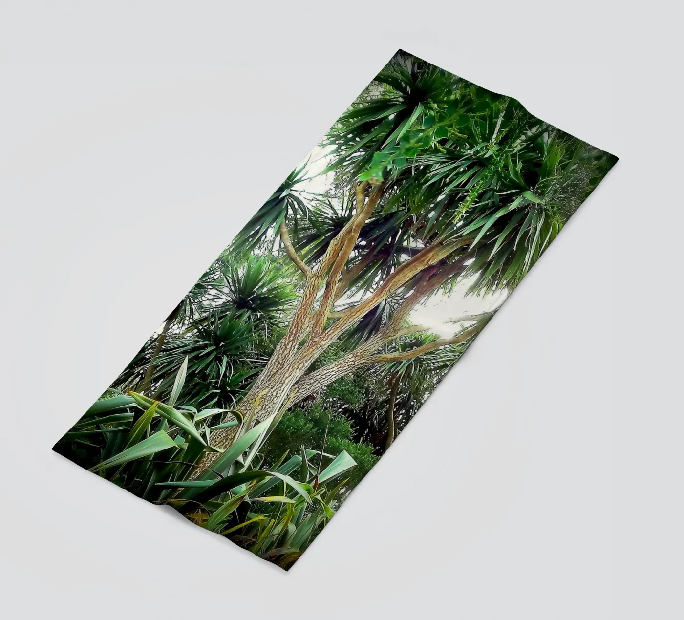 FAA14 telo mare da Thierry vobmann photography