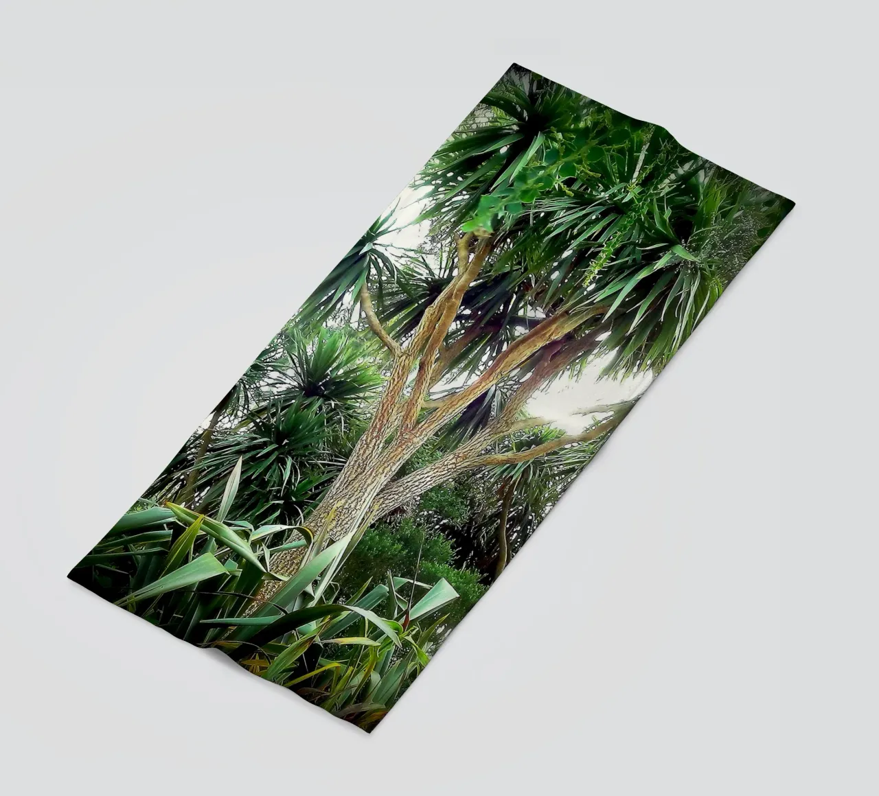 FAA14 telo mare da Thierry vobmann photography