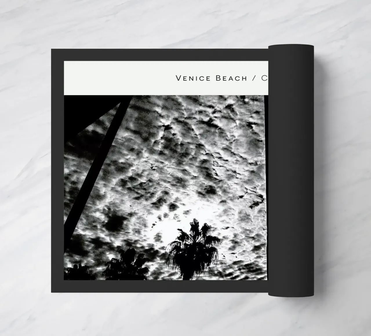 Venice Beach B&W zerbino da In Full Color