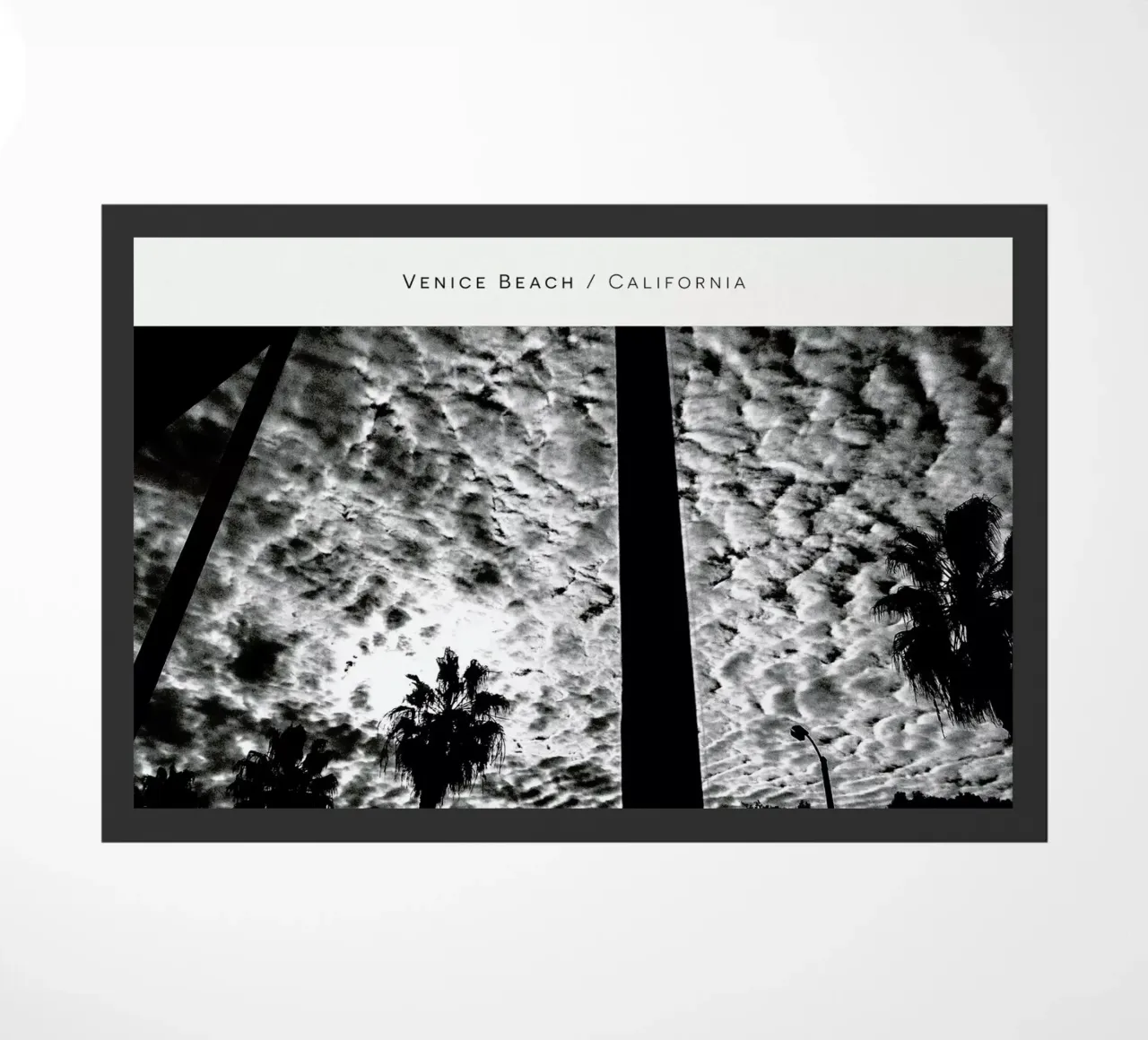 Venice Beach B&W zerbino da In Full Color