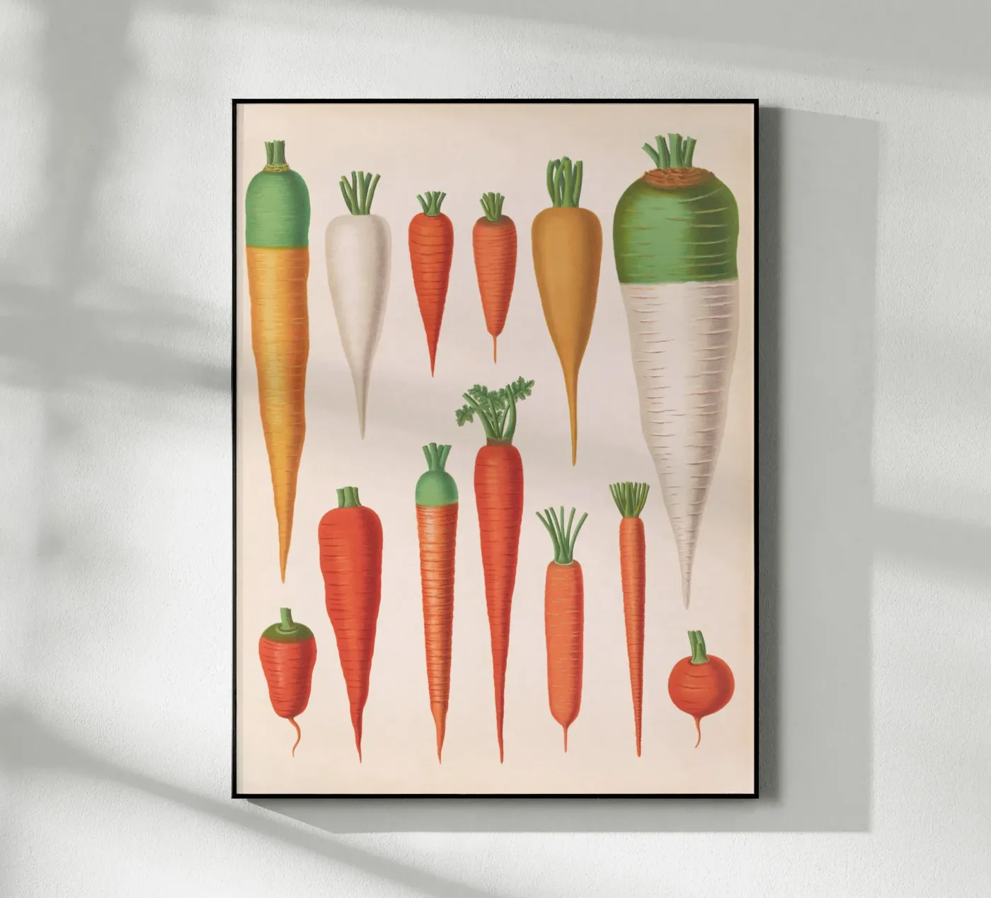 Carrots Acryl-Glas von Apolo Prints