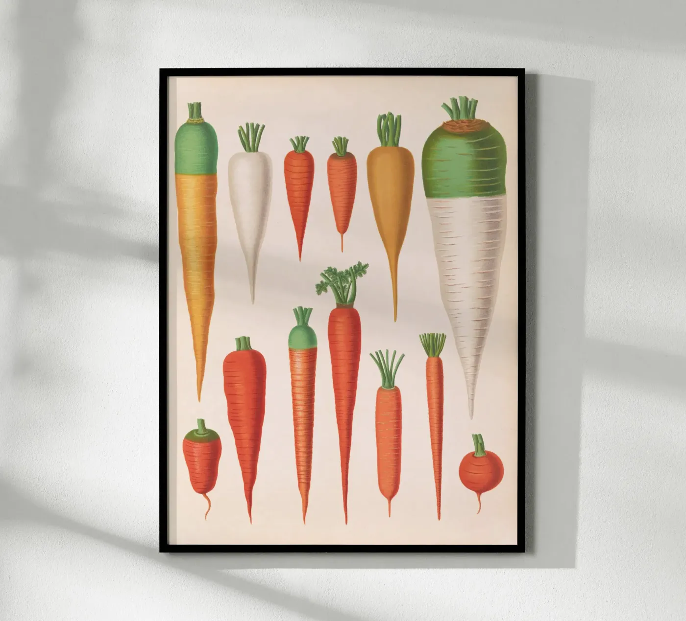 Carottes poster de Apolo Prints