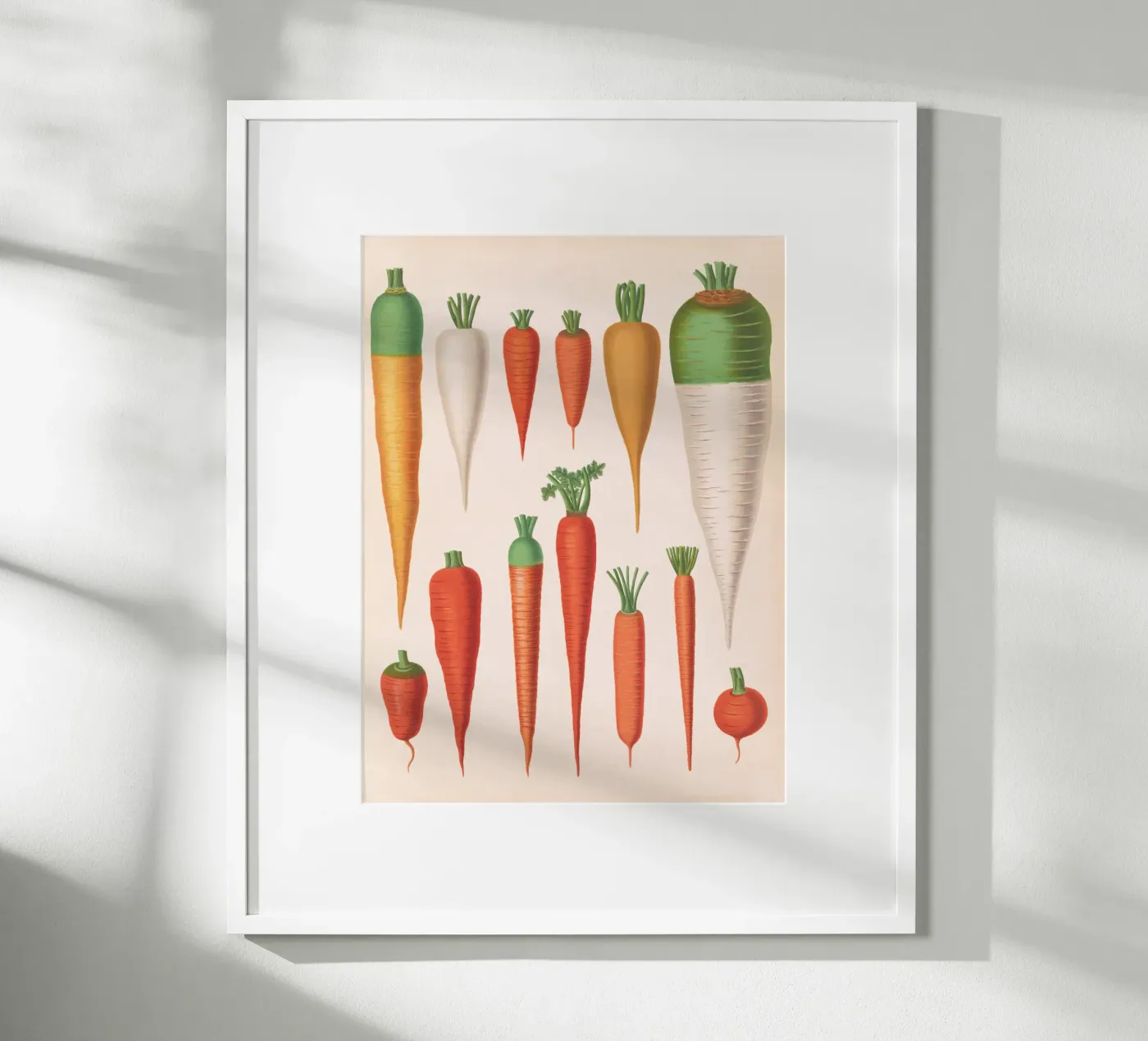 Carottes poster de Apolo Prints