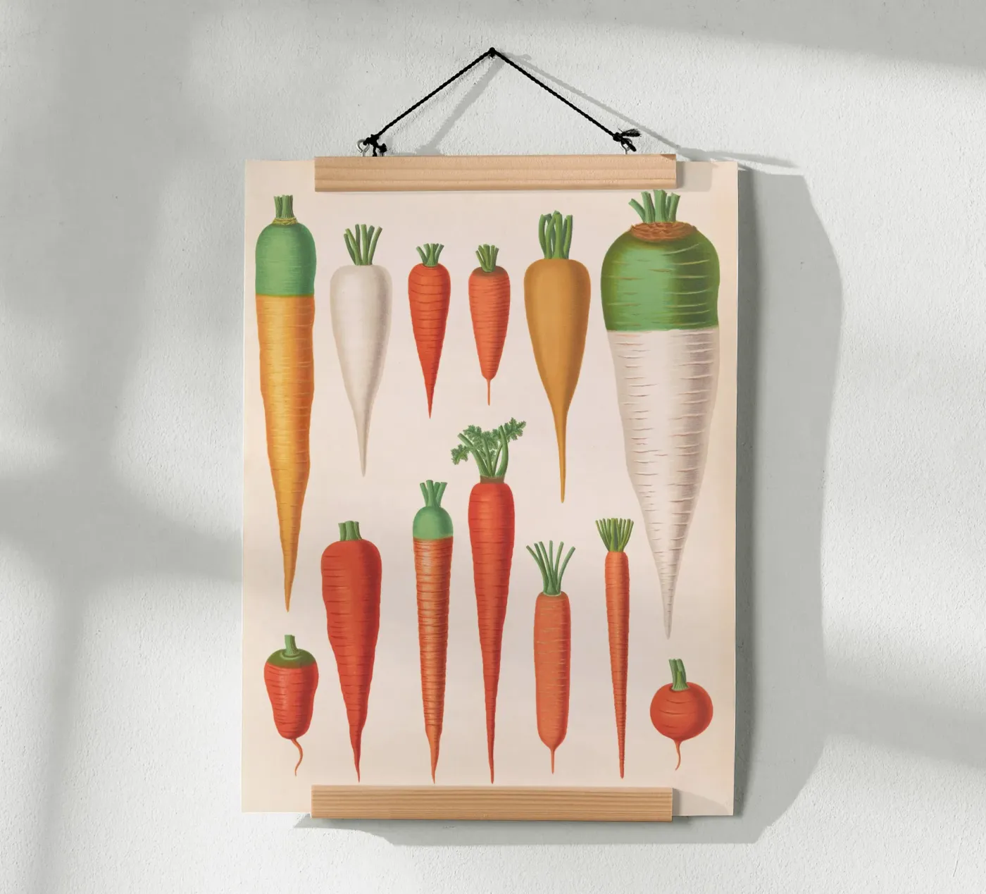 Carottes poster de Apolo Prints