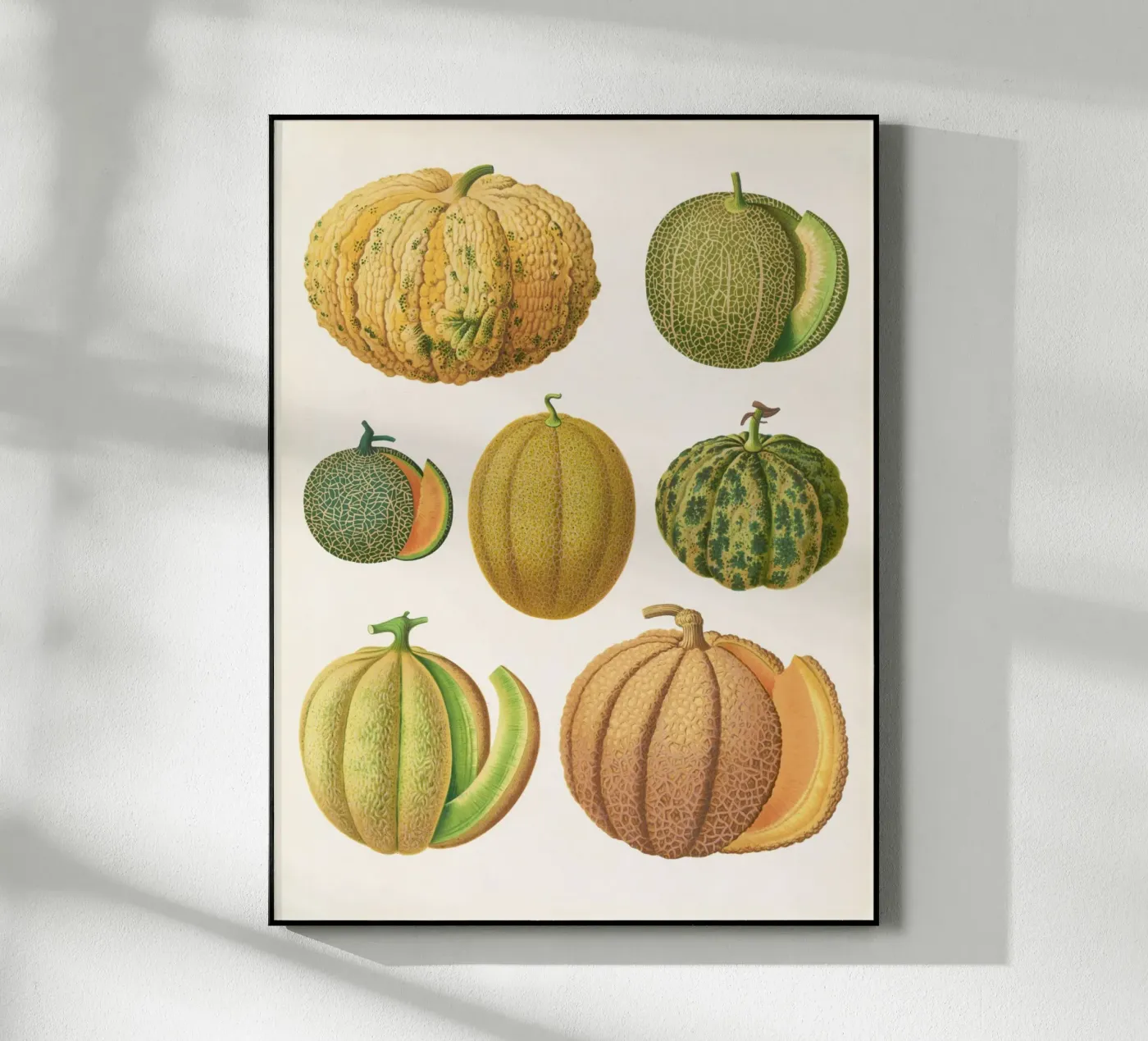 Melons plexiglas de Apolo Prints
