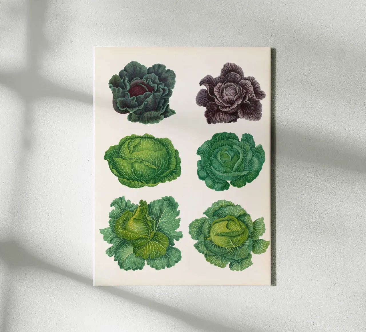 Kool canvas van Botanical