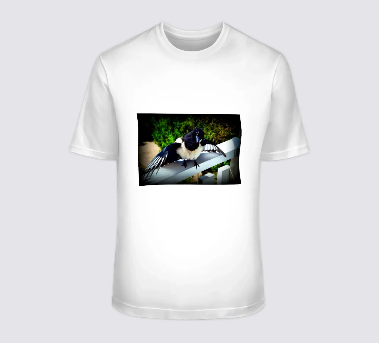 FAA17 t-shirt da Thierry vobmann photography
