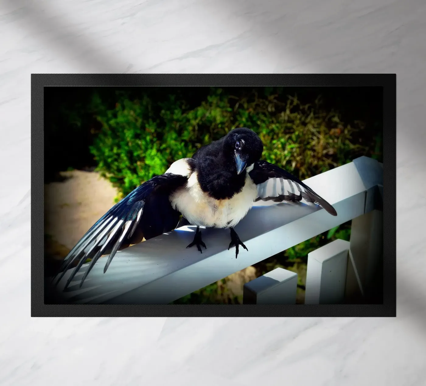 FAA17 zerbino da Thierry vobmann photography