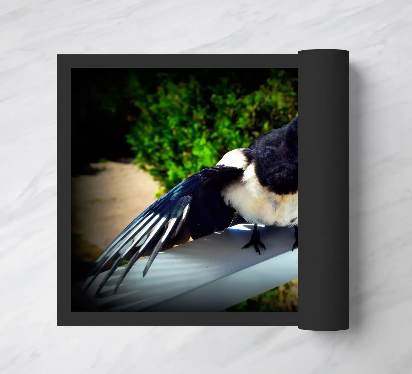 FAA17 zerbino da Thierry vobmann photography