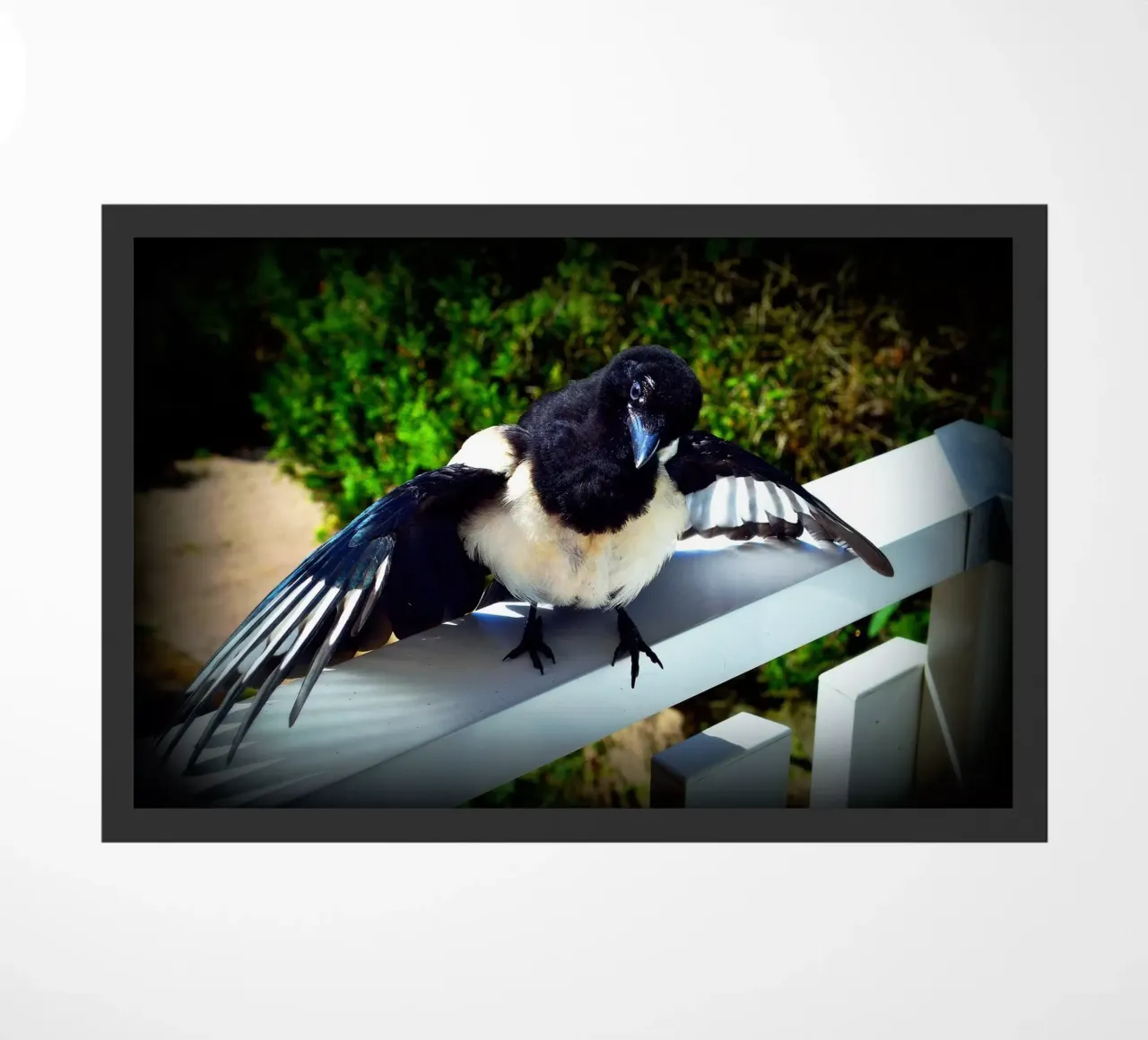 FAA17 doormat by Thierry vobmann photography