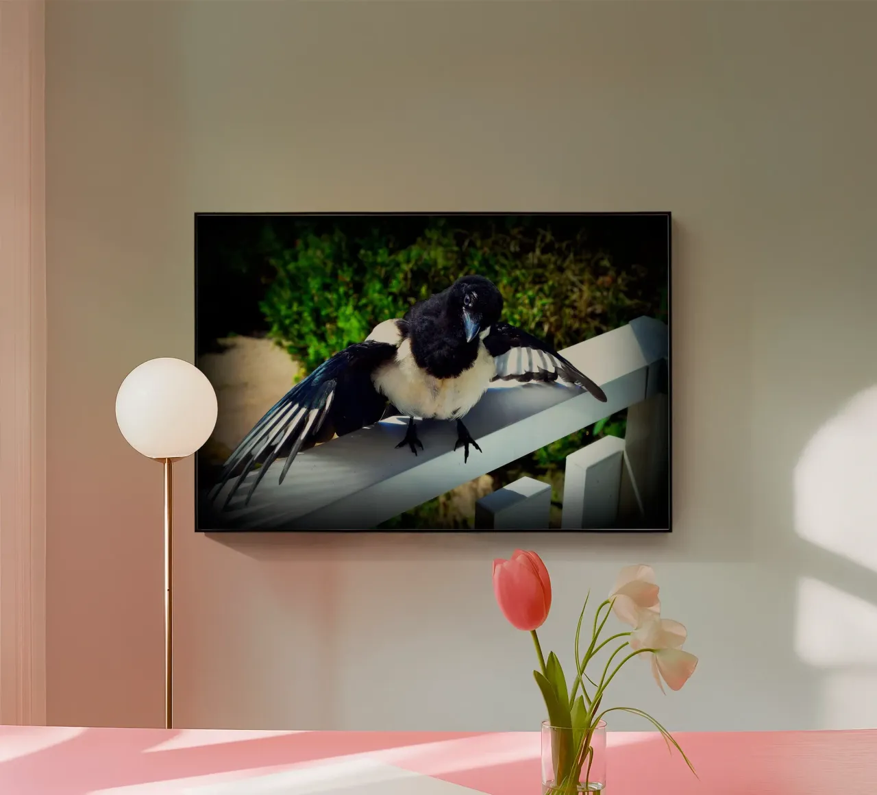 FAA17 plexiglass da Thierry vobmann photography